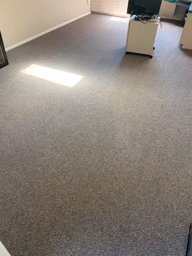 Gray carpet drying under equipment after an extraction