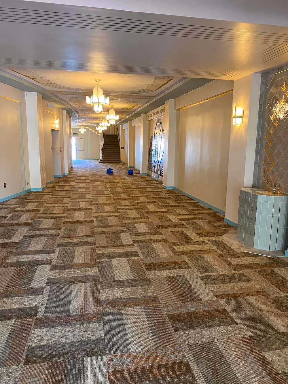 A hotel corridor with its patterned carpet freshly cleaned