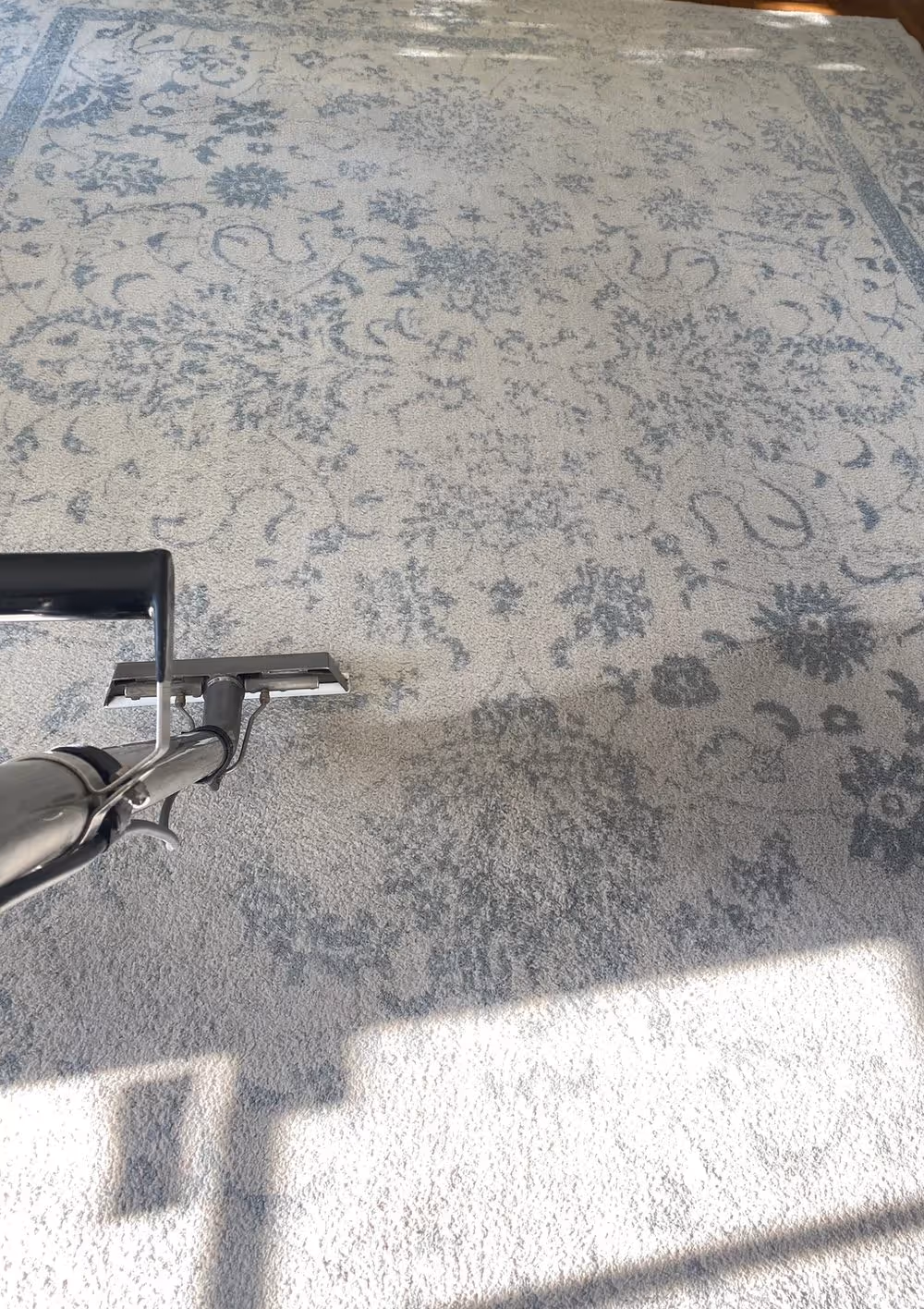 An area rug part-way through cleaning, the cleaned half visibly brighter