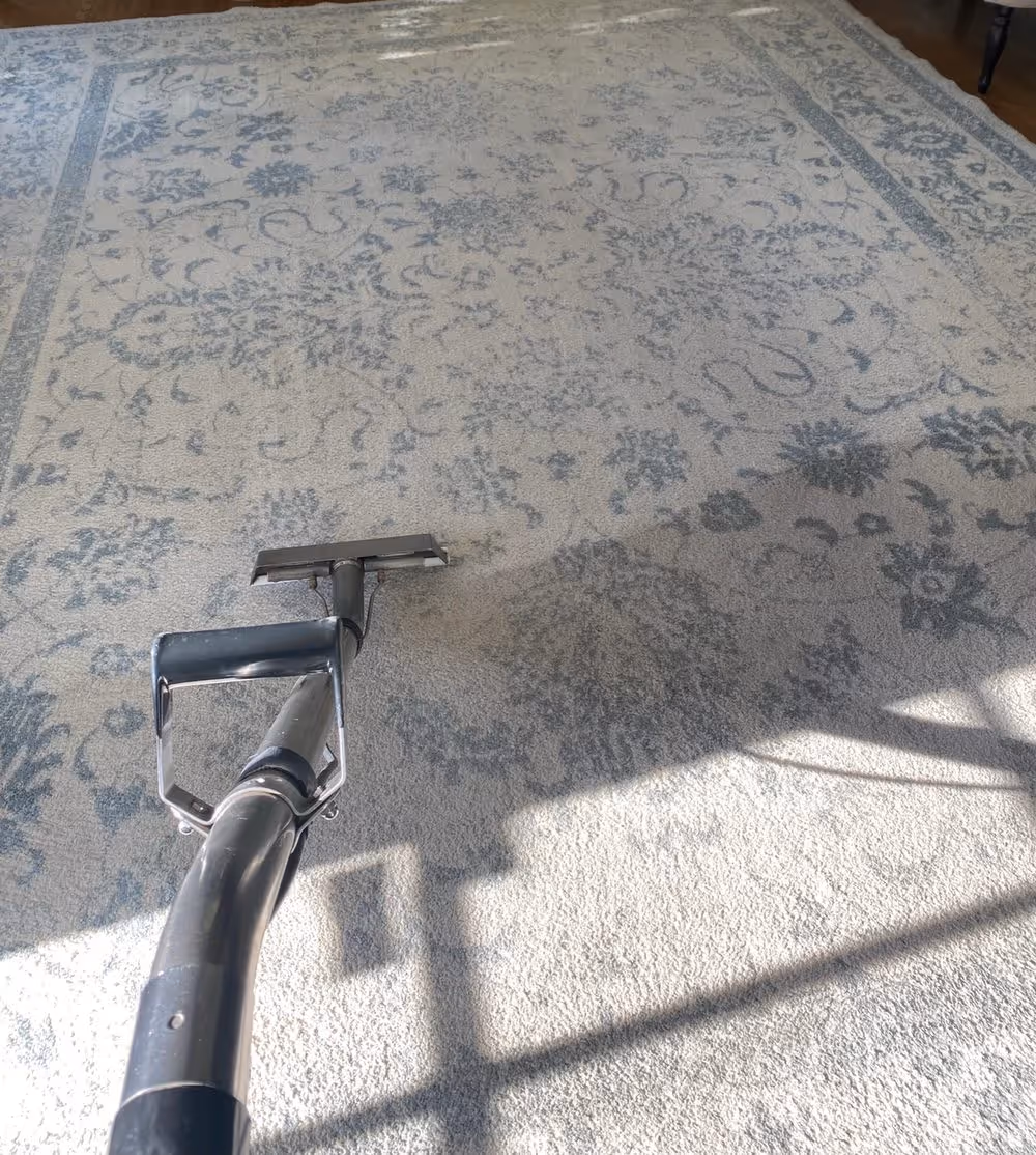 Close detail of a patterned rug being cleaned front and back